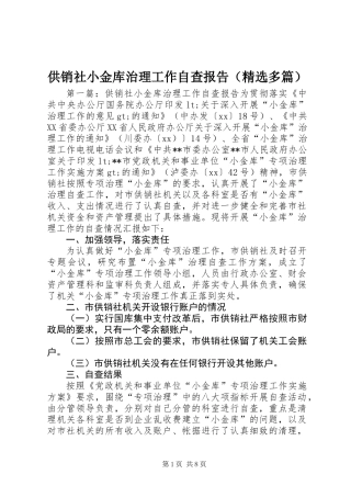 供销社小金库治理工作自查报告(精选多篇)