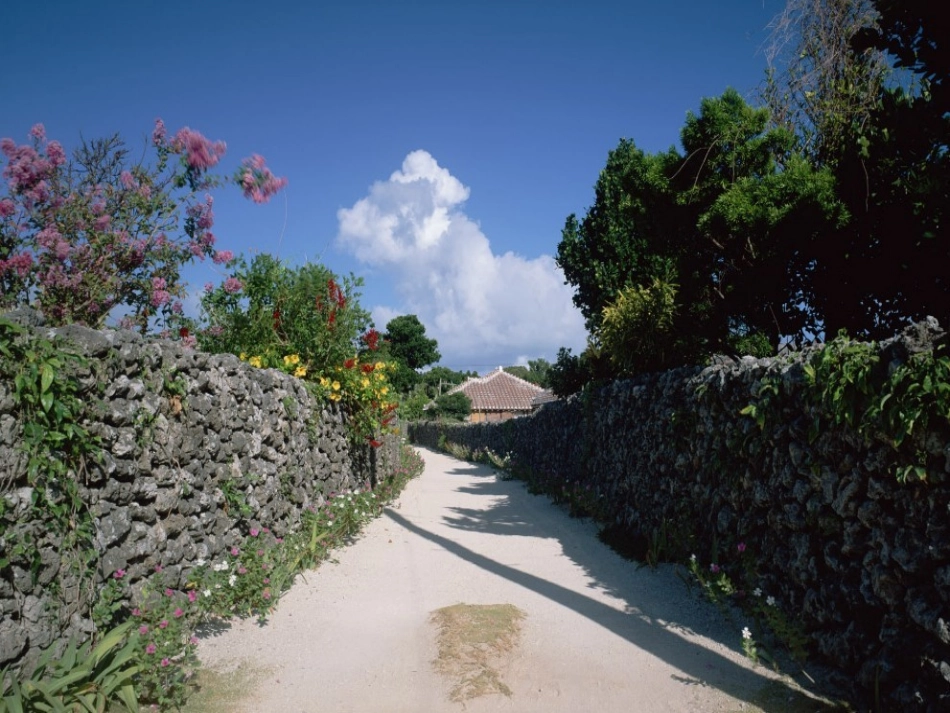 乡下人家（420）_第3页