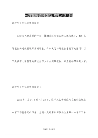 2024大学生下乡社会实践报告_1