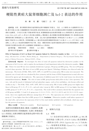 梗阻性黄疸大鼠肾细胞凋亡及bcl-2表达的作用