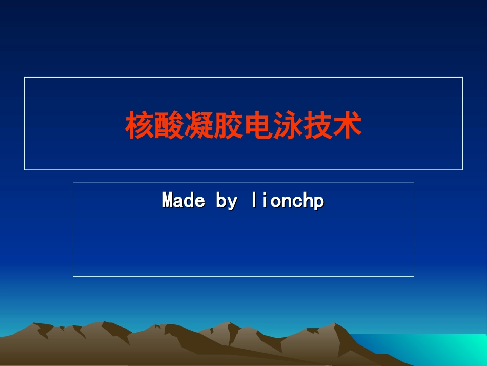 核酸凝胶电泳技术_第1页