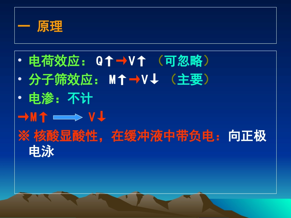 核酸凝胶电泳技术_第2页