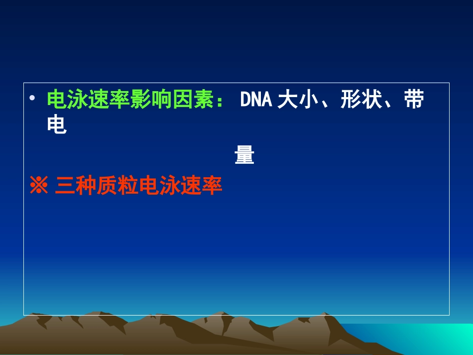 核酸凝胶电泳技术_第3页
