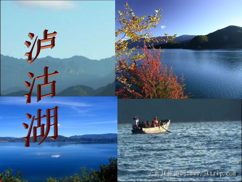 《金孔雀轻轻跳》课件_第2页