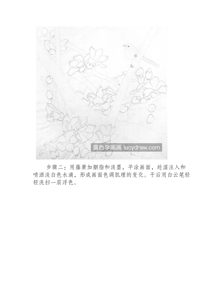 木棉花怎么画_攀枝花的工笔画法是什么_工笔画教程_第2页