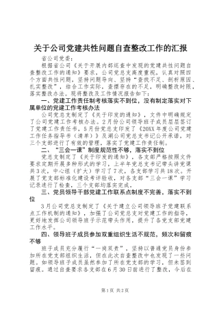 关于公司党建共性问题自查整改工作的汇报