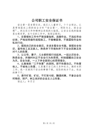 公司职工安全保证书 (2)