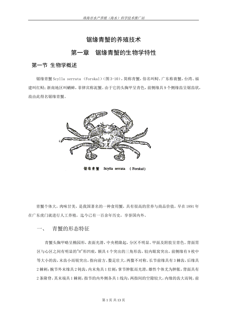 锯缘青蟹的养殖技术_第1页