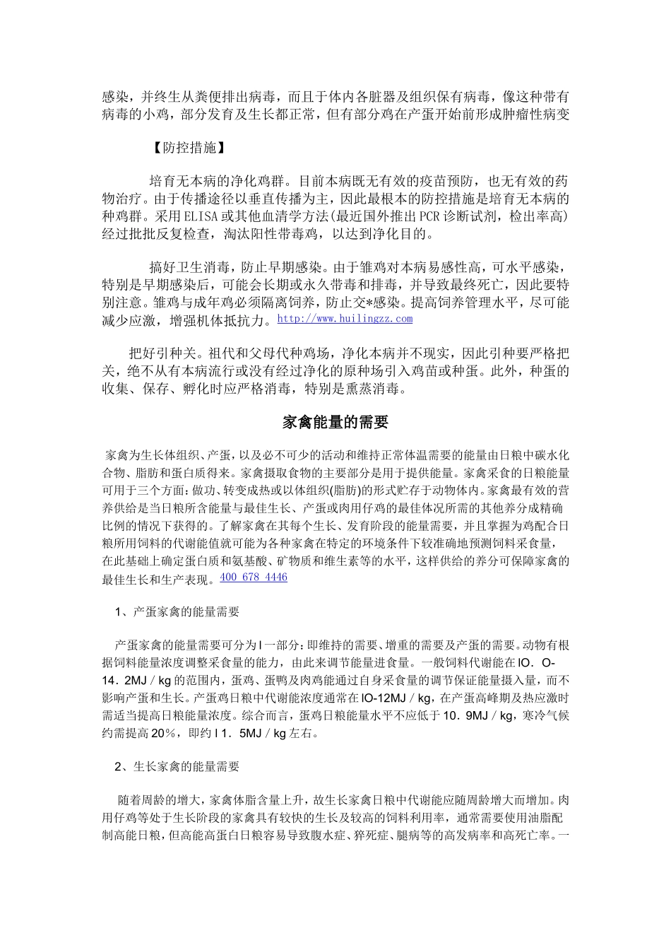 鸡喉炎的发病特征_第2页