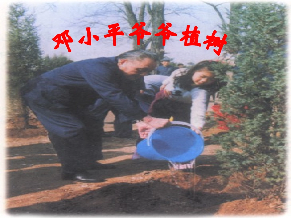邓小平爷爷植树PPT_第1页