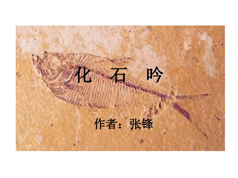 《化石吟》PPT课件_第1页