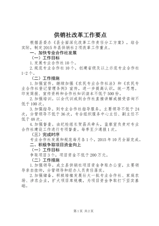 供销社改革工作要点