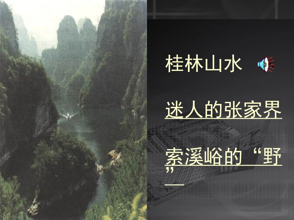 索溪峪的野PPT_第2页