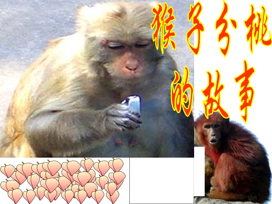 商不变的规律（正稿）_第2页