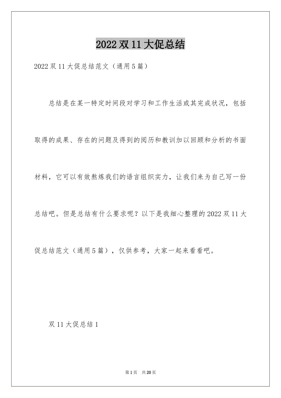 2024双11大促总结_第1页