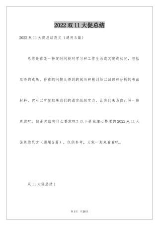 2024双11大促总结