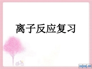 离子反应复习课件