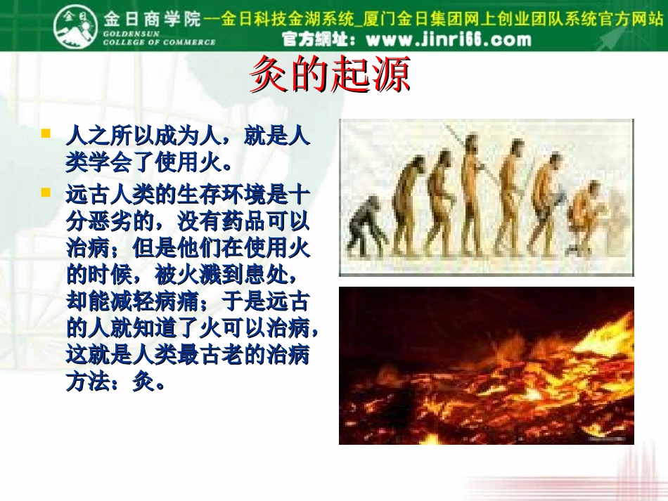 金日科技--金日伊源掌灸纳米精油课件下载_第2页