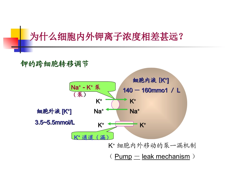 钾代谢及钾代谢障碍_第3页