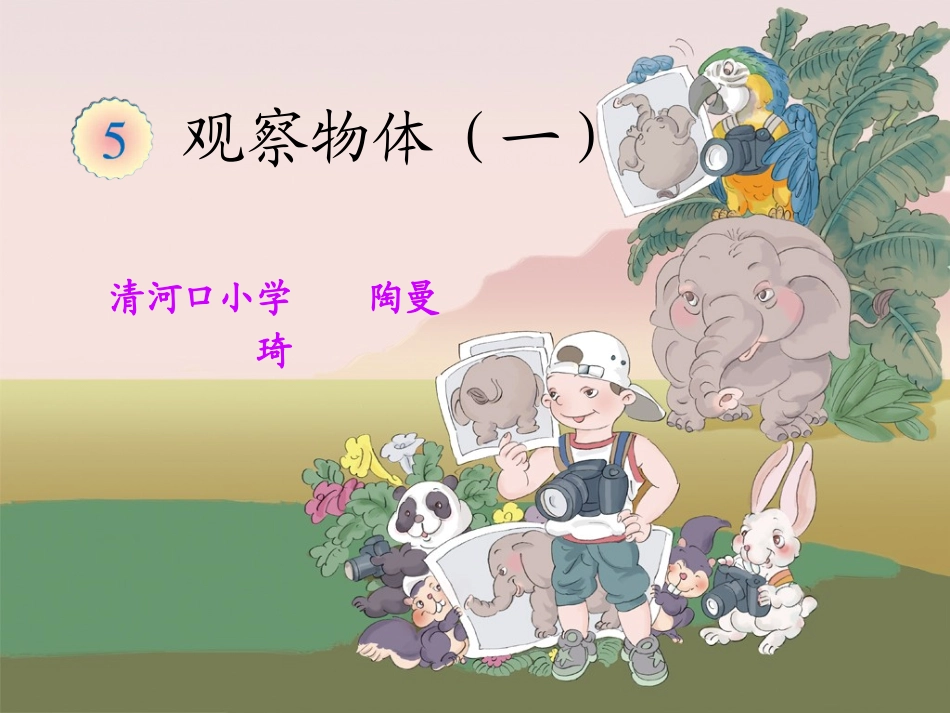 《观察物体（一）》教学课件_第1页