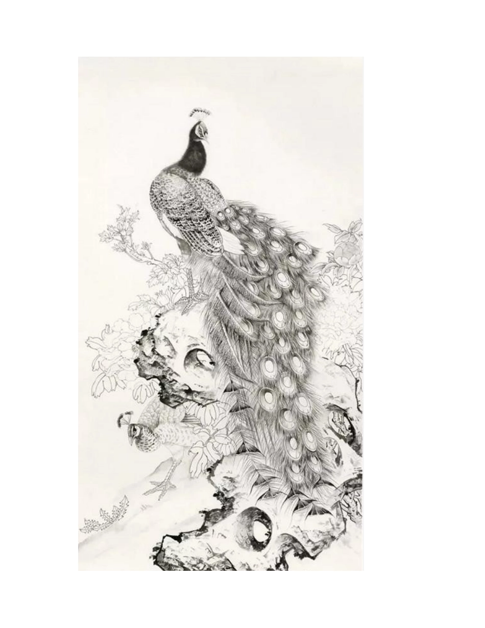 开屏的孔雀怎么画_孔雀工笔画步骤有几步_工笔画教程_第2页