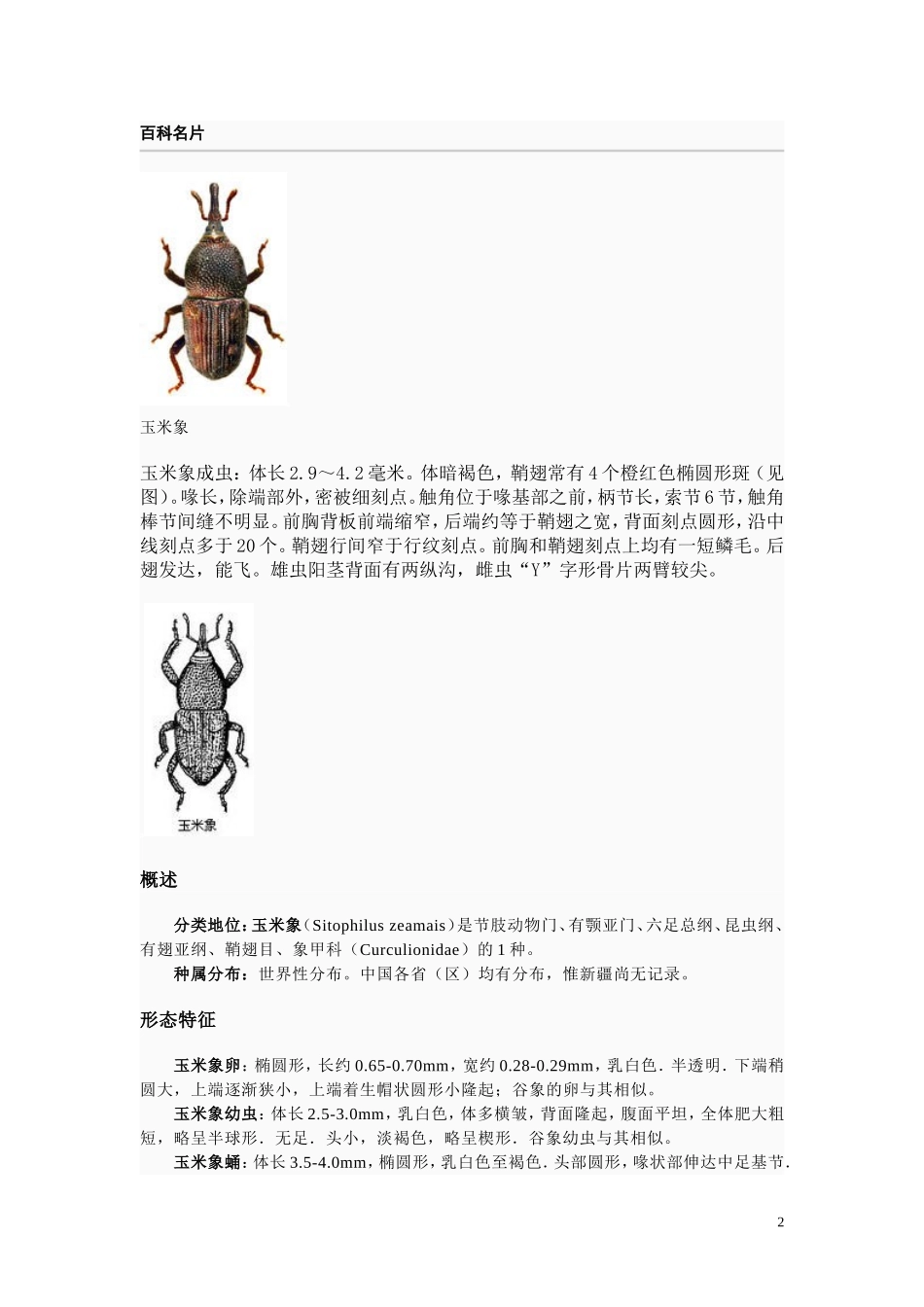 谷物中常见的害虫_第2页