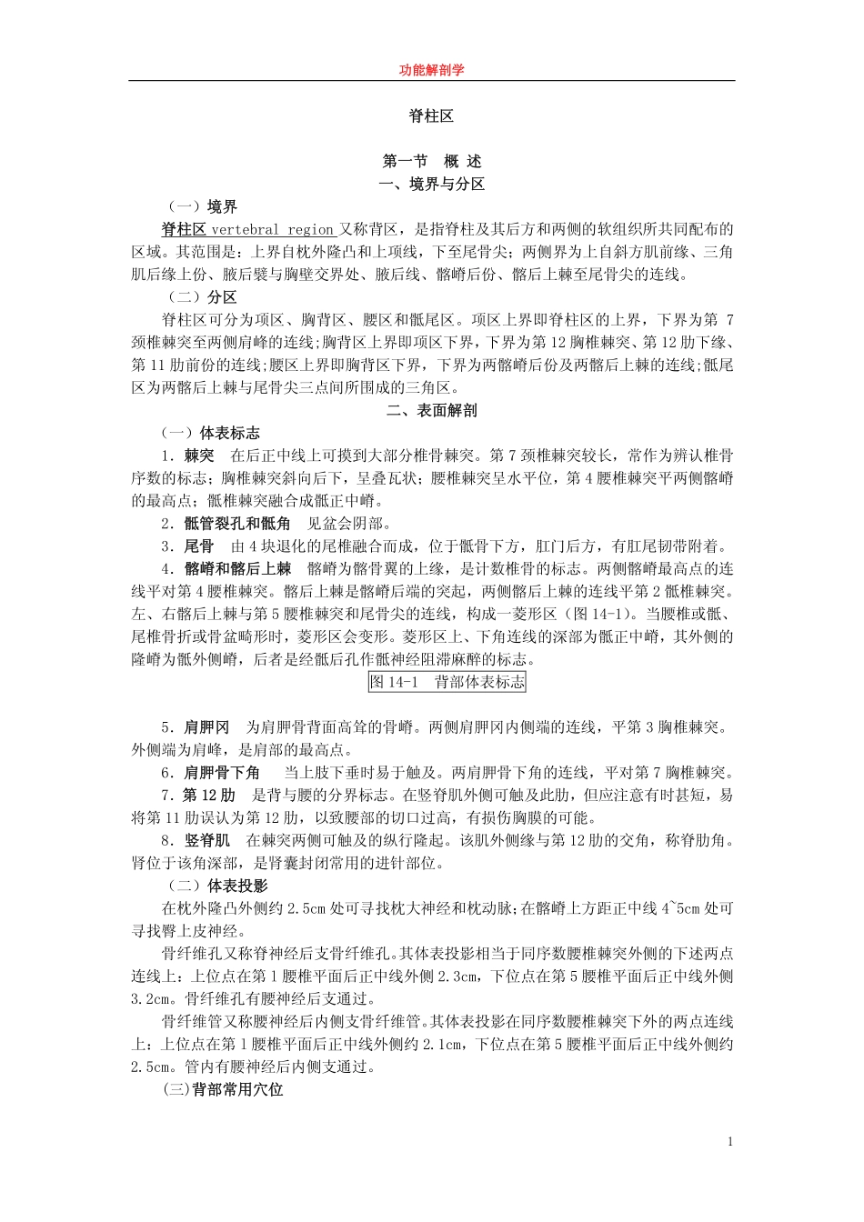 脊柱区fs-13_第1页