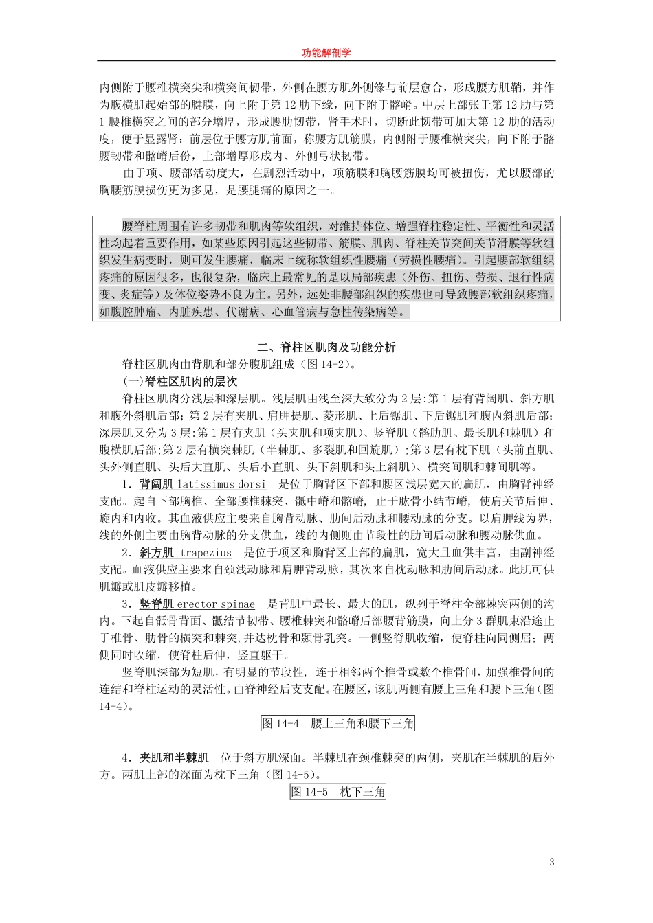 脊柱区fs-13_第3页