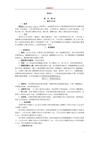 脊柱区fs-13
