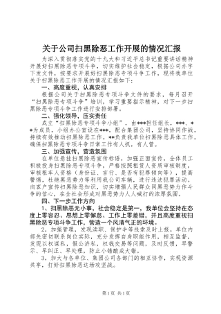 关于公司扫黑除恶工作开展的情况汇报