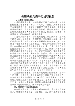 供销联社党委书记述职报告