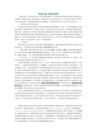 呼吸生理-呼吸的调节