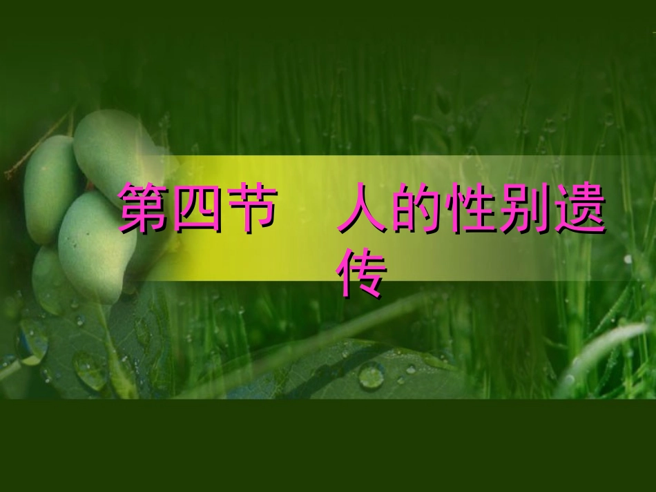 第二章第四节人的性别遗传_第1页