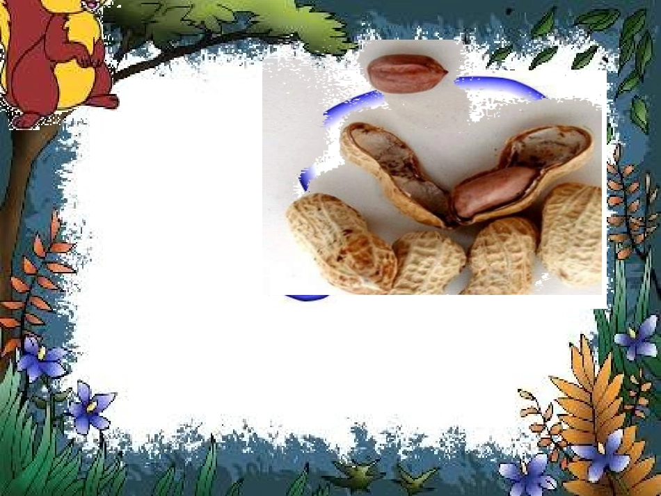 《小松鼠找花生》课件(三)_第2页