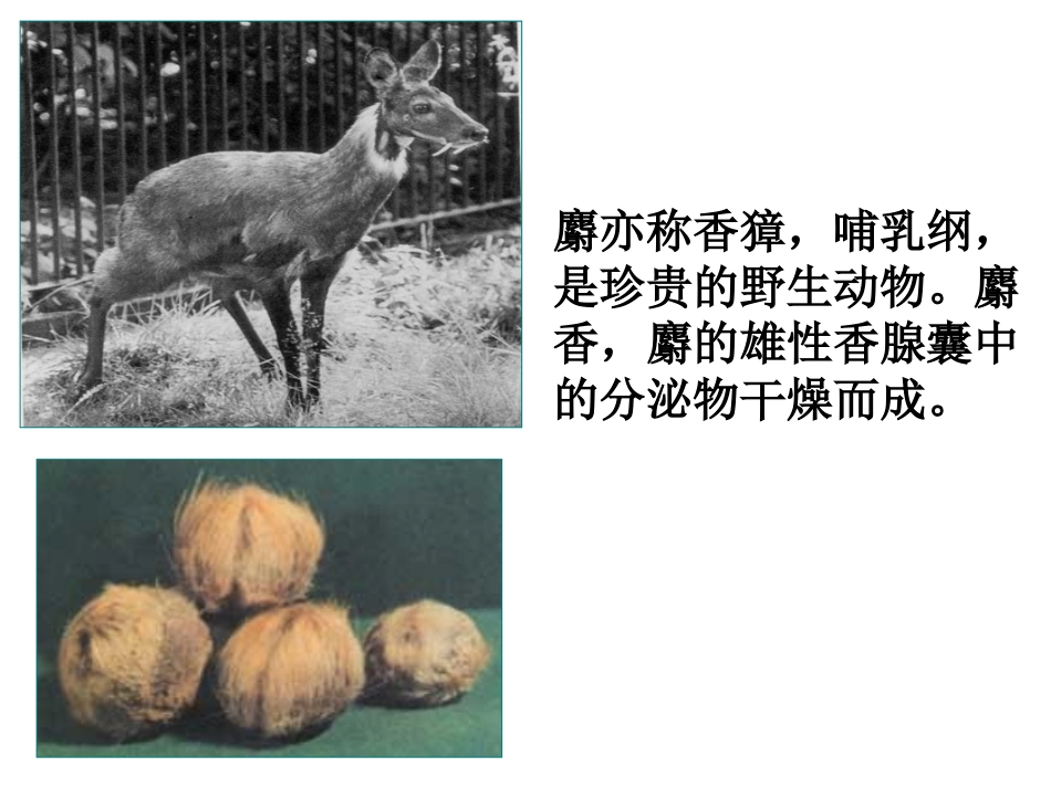 《植物芳香油的提取》课件（用）_第3页
