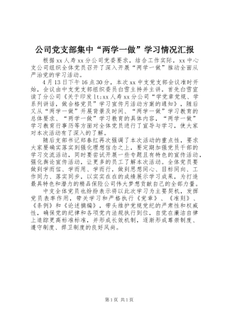 公司党支部集中“两学一做”学习情况汇报