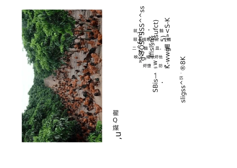 鸡安卡拉病有什么症状,如何进行鉴别诊断、预防和治疗_第2页