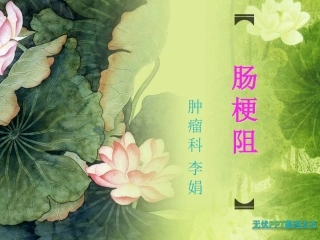 荷塘春绿-植物