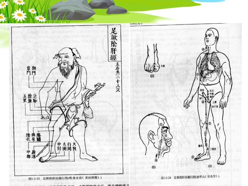 肝胆病证_胁痛_第3页