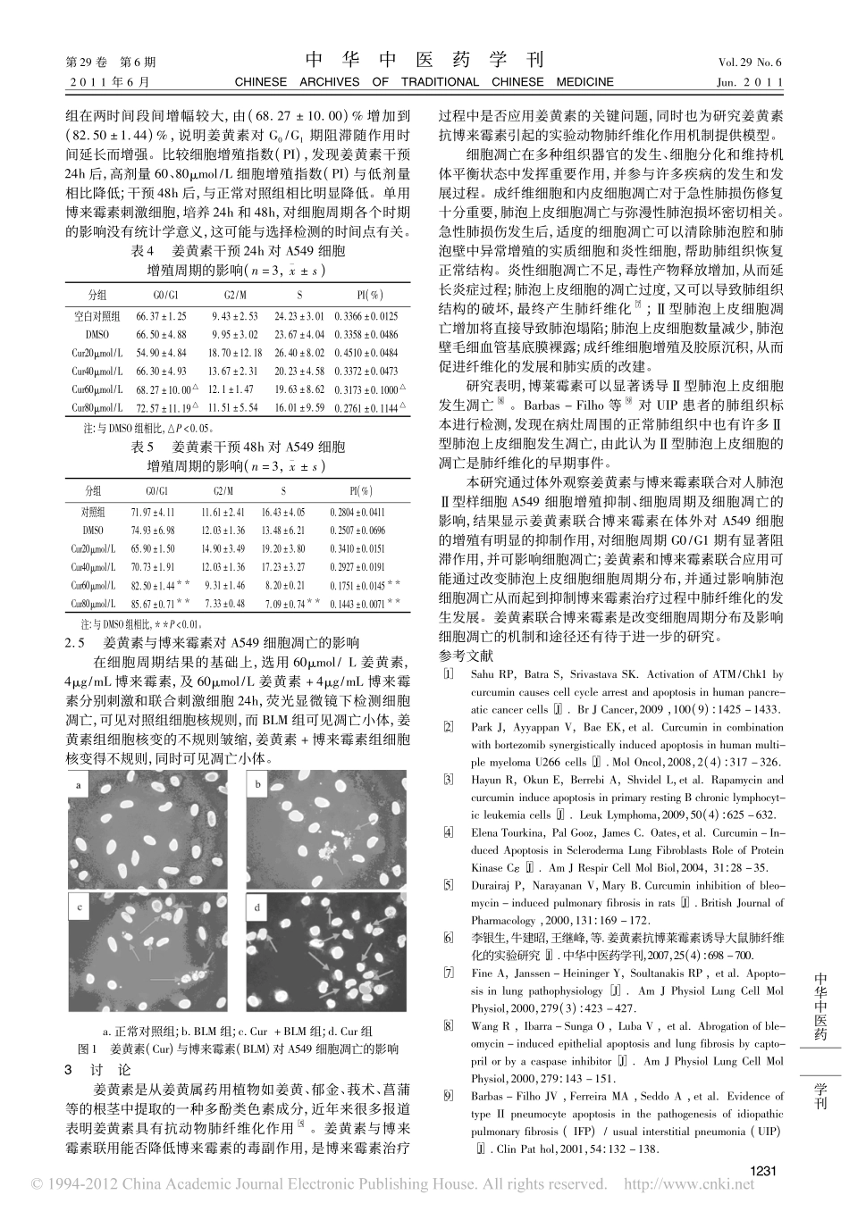 姜黄素与博来霉素联用对A549细胞增殖抑制及细胞周期和凋亡的影响_黄春芳_第3页