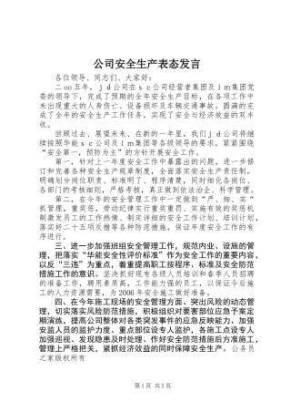 公司安全生产表态发言