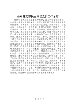 公司党支部民主评议党员工作总结