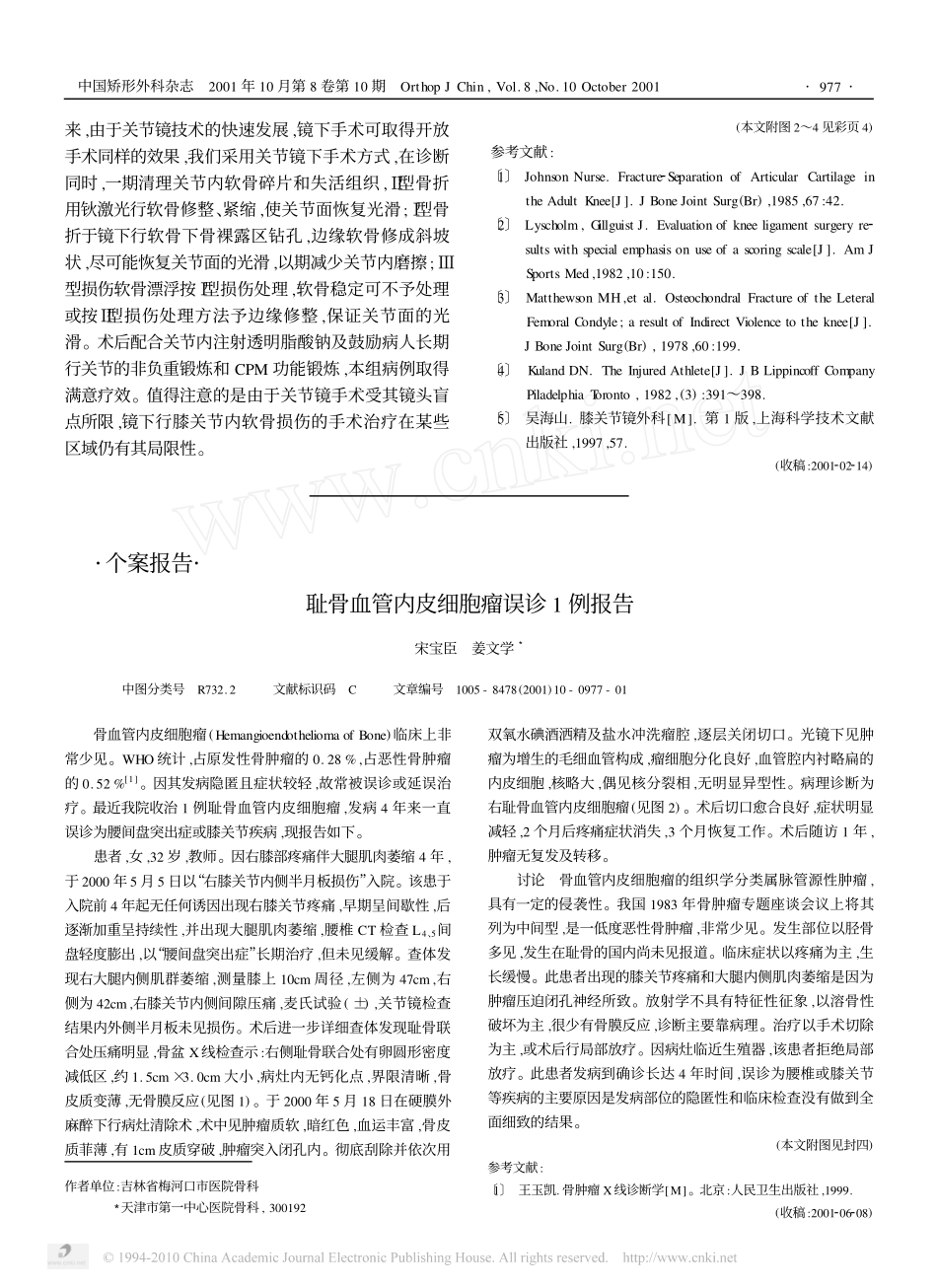关节镜下诊断与治疗膝关节内软骨损伤_第3页