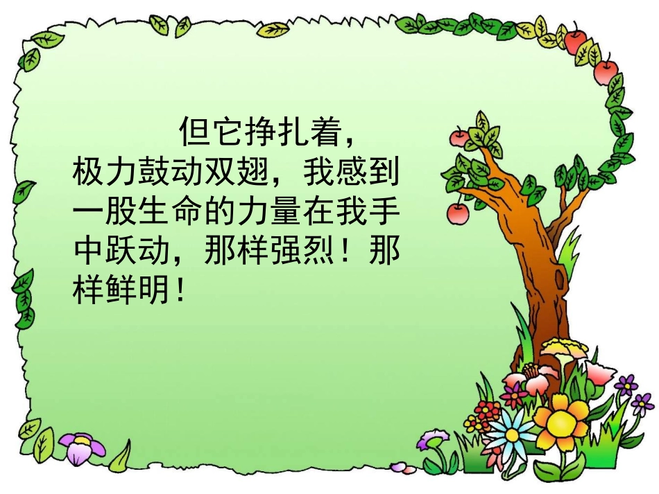 生命生命（袁小会）_第3页