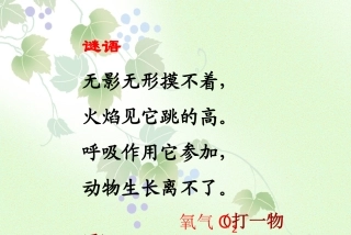 维持生命之气