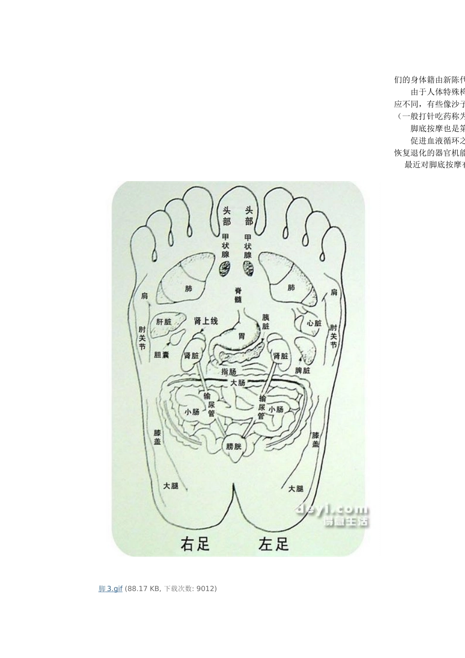 脚底按摩穴位图【实用】_第1页