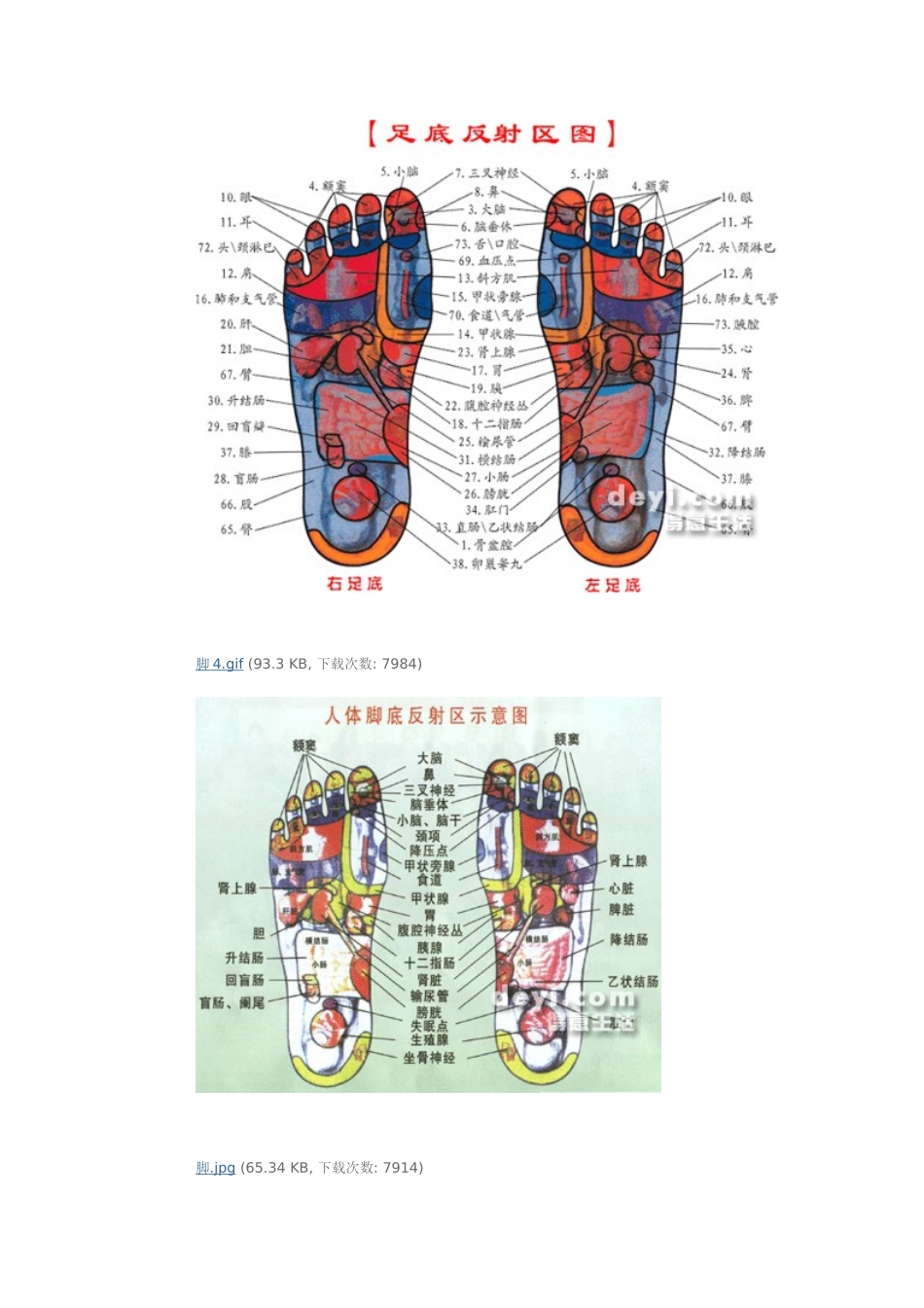 脚底按摩穴位图【实用】_第2页