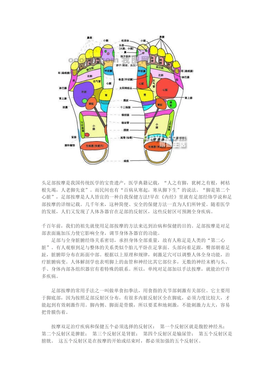 脚底按摩穴位图【实用】_第3页