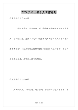 2024公司出纳个人工作计划