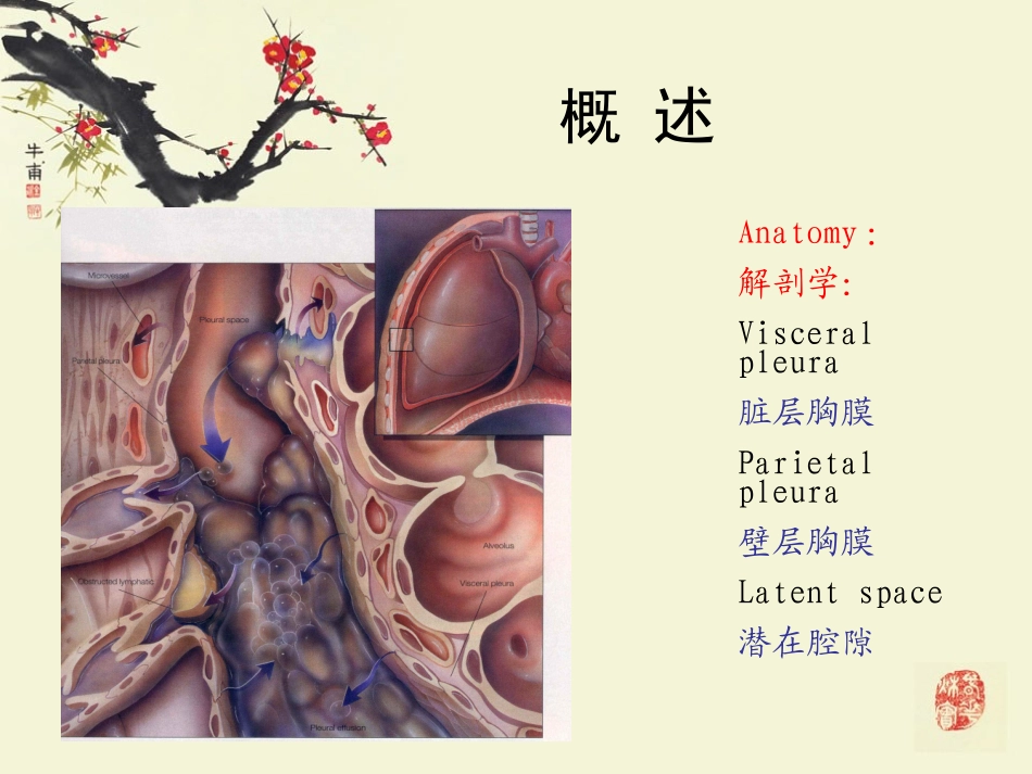 结核性胸膜炎修改稿_第2页